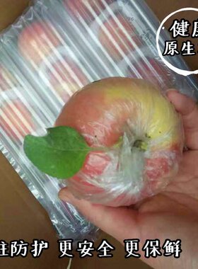 徐州丰县丰县红富士苹果