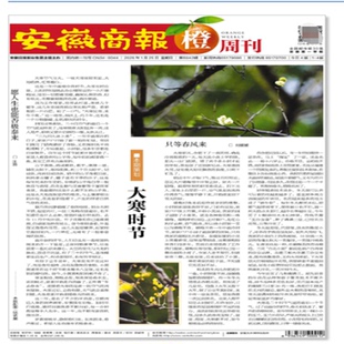 安徽报纸公告安徽省印章丢失登报安徽报纸声明安徽日报登报