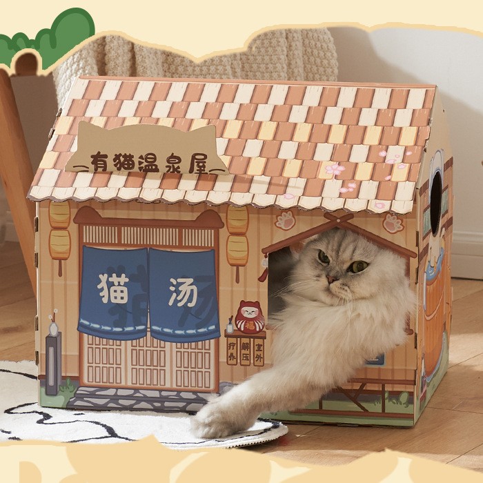 温泉屋猫咪店铺猫纸箱窝猫房子