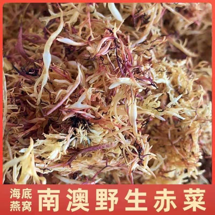 野生南澳赤菜海底燕窝海萝草
