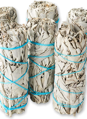 10cm长美国加州进口白鼠尾草白色鼠尾草原草干燥舒缓精神净化空气