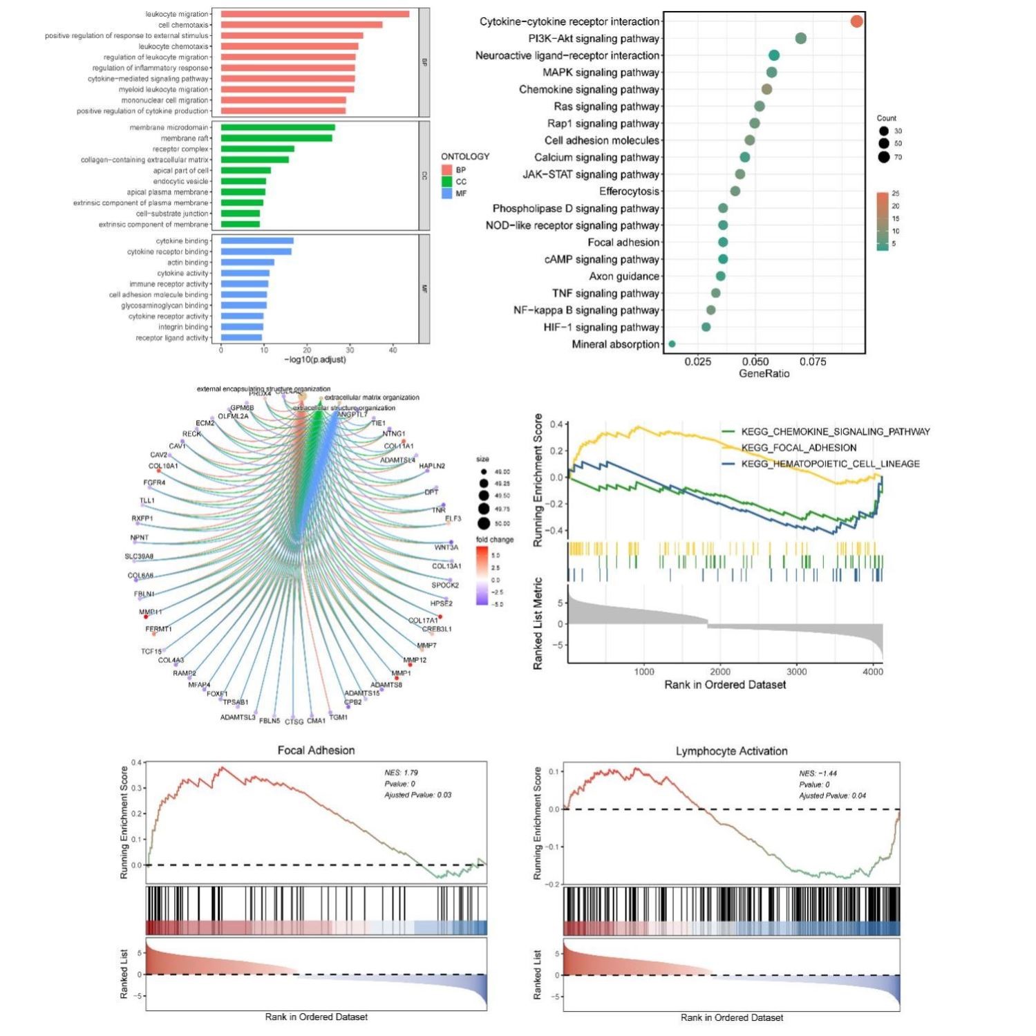 单细胞测序分析生信分析TCGA/GEO数据挖掘转录组分析网络药理学