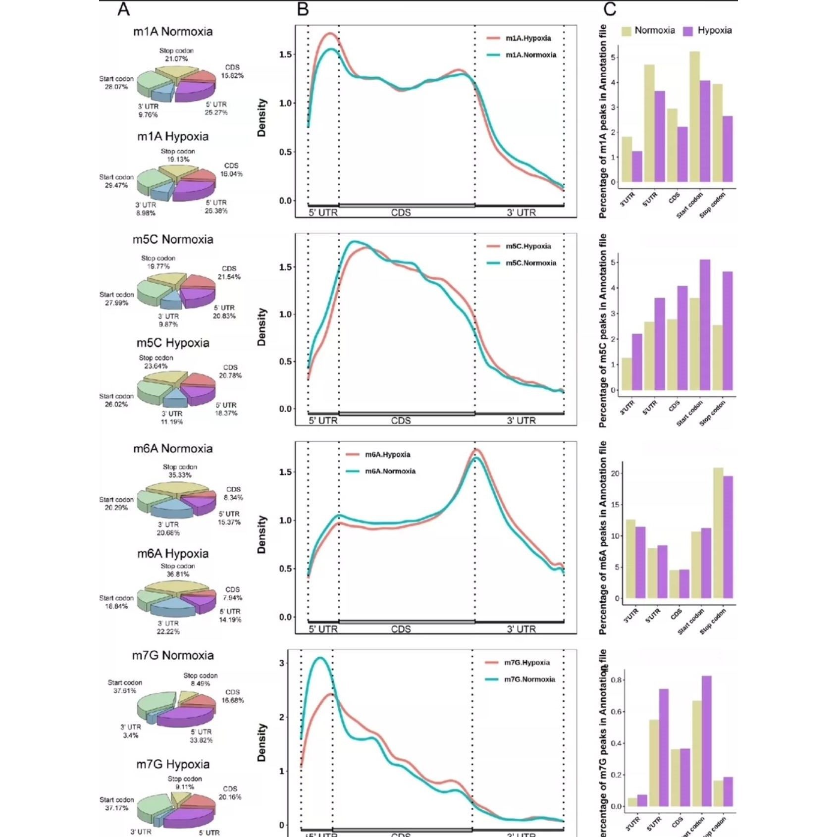 R语言代码Rstudio绘图SCI科研生信医学桑基热图数据分析作