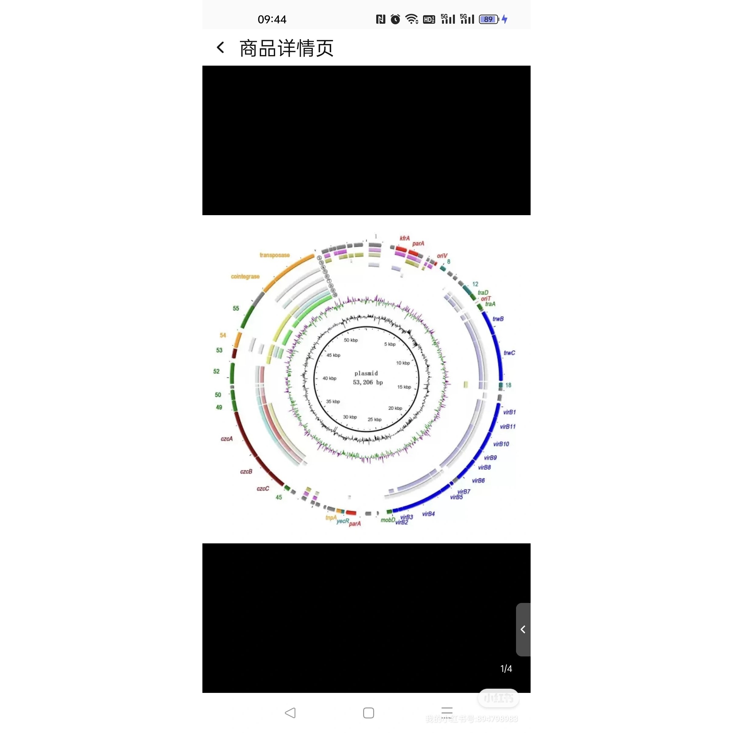 医学生信分析 单细胞测序生信3-5思路 TCGA数据库挖掘KEGG,GO