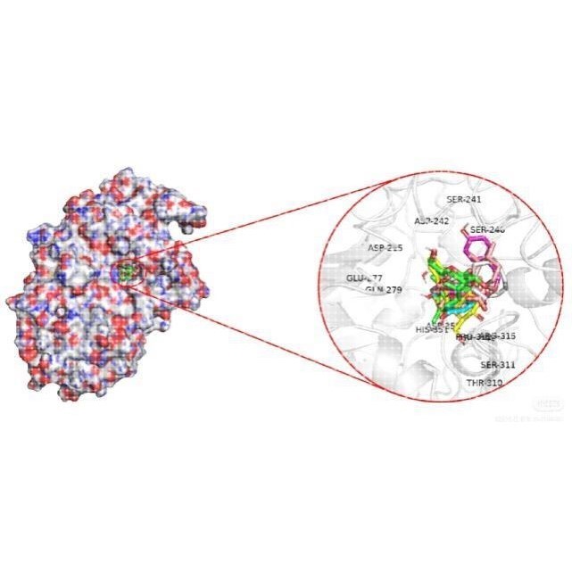 分子对接二维三维可视化作图