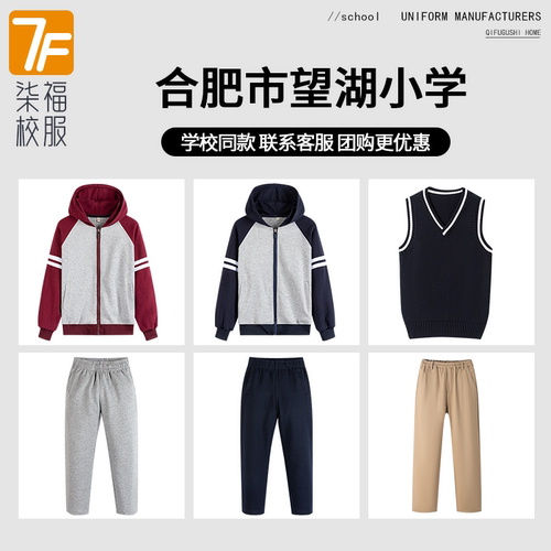 【合肥市望湖小学】同款校服班服学生运动服短袖T恤上衣长裤马甲