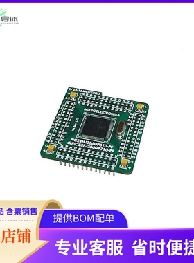 MIKROE-795【LV24-33A PIC24FJ128GA010 EVAL BD】开发板 套件