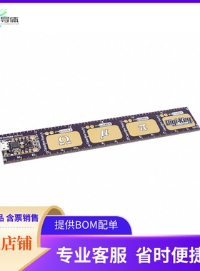 4319【PYRULER WITH EMBEDDED TRINKET M0】开发板 套件 编程器