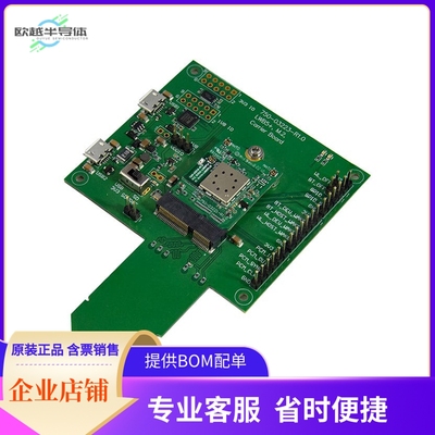 453-00049-K1【DEV KIT STERLING LWB5 USB】开发板 套件 编程器