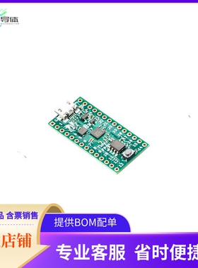 4038【TINYFPGA BX - ICE40 FPGA DEVELOP】开发板 套件 编程器