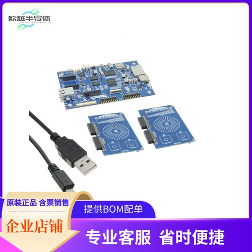 DM320108-BNDL【BUNDLE SAMA5D2-PTC-EK QT1-XPRO】开发板 套件