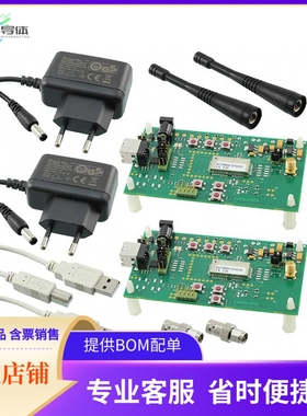 RC1701HP-WIZE-DK【WIRELESS MBUS DEVELOPMENT KIT】开发板 套