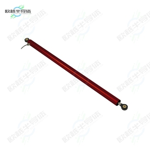 304.8MM 传感器SENSOR 300 CABLE LRLI LINEAR