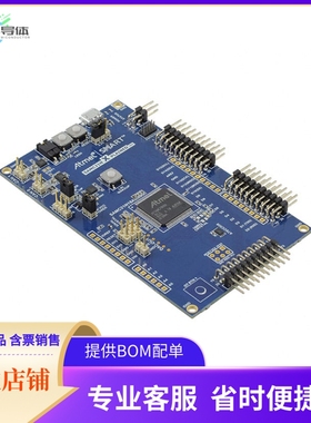 ATSAMC21N-XPRO【SAM C21N XPLAINED ATSAMC21N18A】开发板 套件