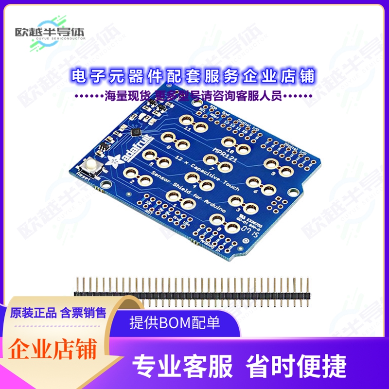 开发套件2024[ADAFRUIT 12 X CAPACITIVE TOUCH S]