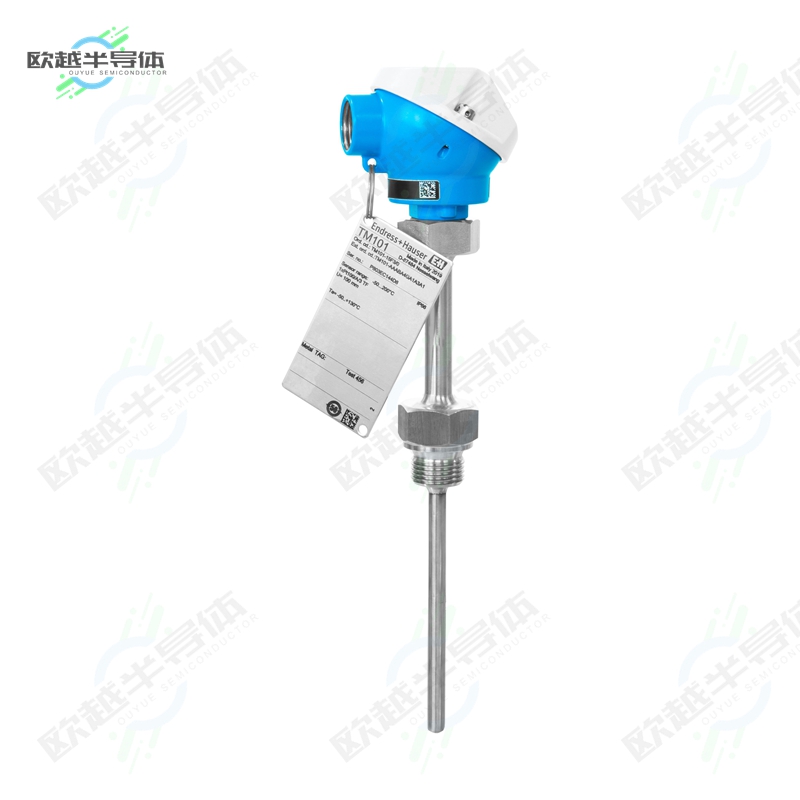 TM101-URBAA1BC2H2A1[传感器THERMOMETER 1XPT100 TF]