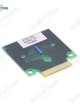 P100 209[传感器EPC901-033 CHIP CARRIER V2]