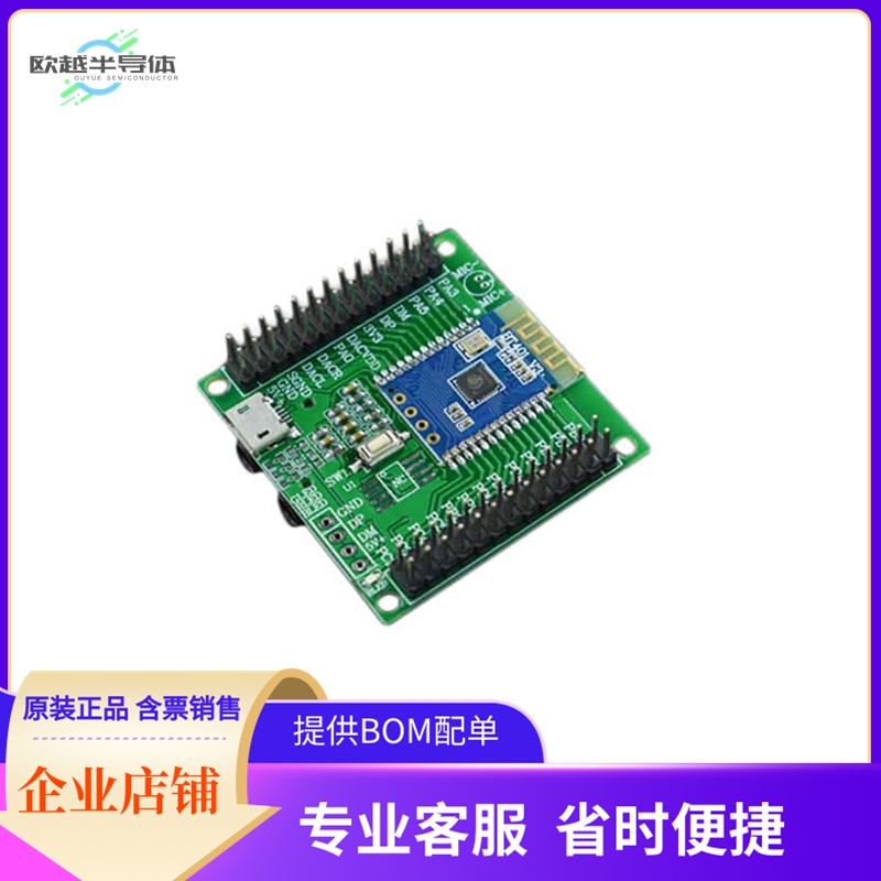 DFR0782【EVALUATION BOARD FOR AUDIO  BLE/】开发板 套件 编程