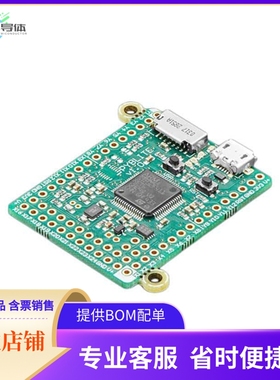 5417【MICROPYTHON PYBOARD LITE V1.0】开发板 套件 编程器