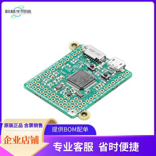5417【MICROPYTHON PYBOARD LITE V1.0】开发板 套件 编程器