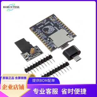 102110201【SIPEED LICHEE NANO 16M+WIFI BRD】开发板 套件 编