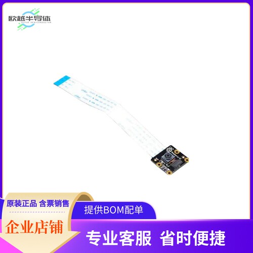 3100【CAMERA BD RASPBERRY PI NOIR 8MP】开发板 套件 编程器