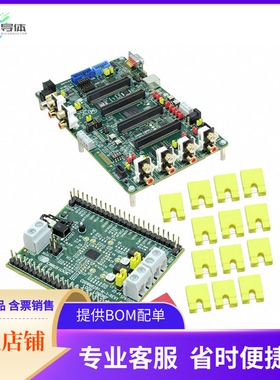 CDKWM8281-S-2【KIT-WM8281 KIT (FLORIDA) LOCHNAG】开发板 套