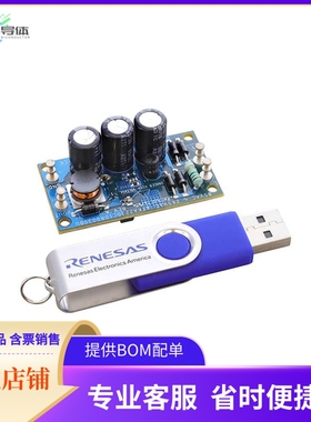 RTKA223011DR0030BU【UNIVERSAL AC INPUT RAA223011 BUC】开发