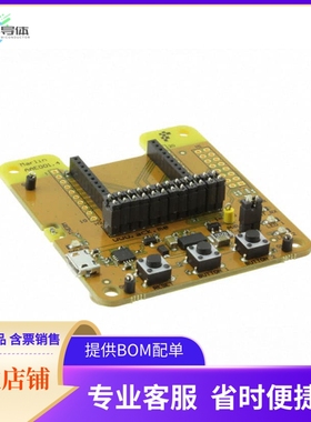 AAE001【MARLIN BRD W/O AMW004-A01 HORNET】开发板 套件 编程器