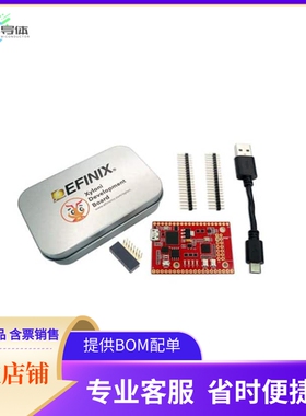 XYLONI【XYLONI DEV BOARD EFINITY】开发板 套件 编程器