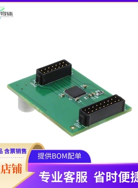 AM305321R1DBGEVB【BOARD DAUGHTER LIN STEP DVR NQFP】开发板