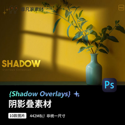 光线窗户自然绿植光影阴影PS海报后期处理叠加光效PSD设计素材