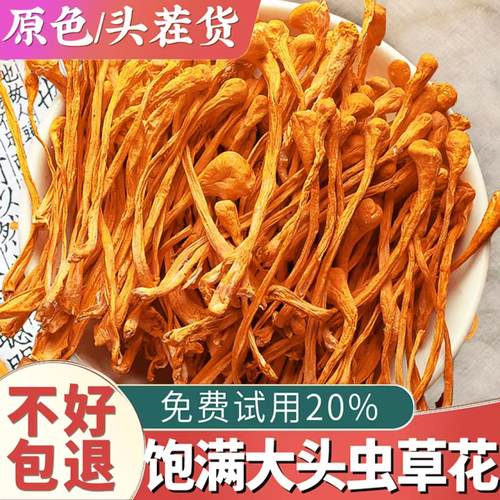 【当季新货】500g虫草花干货