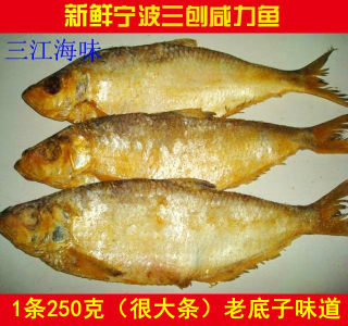 老宁波三刨咸力鱼 咸霉鳓鱼 咸香鱼 咸鱼干咸鳓鱼臭香力鱼250g