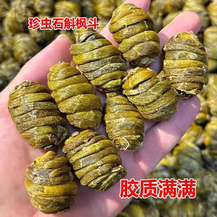铁皮石斛中药材正品泡茶泡水喝的功效与作用铁皮石斛粉泡水喝