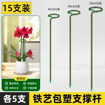 植物防倒伏支架铁艺绣球吊兰支撑杆园艺固定架爬藤花卉朱顶红花架