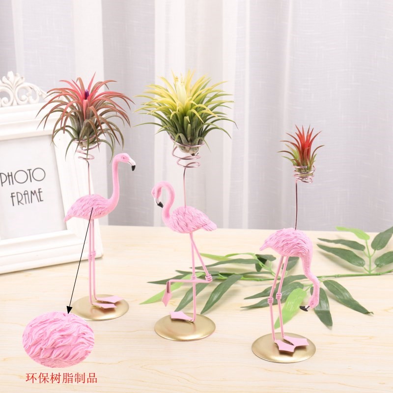 空氣鳳梨無土植物火烈鳥創意家具擺件支架室內盆栽綠植淨化空氣在類目 鮮花速遞/花卉仿真/綠植園藝, 花卉/綠植盆栽（新）, 綠植中 - 來自Buy2taobao.com提供專業的淘寶代購服務