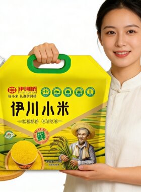 河南伊川小米黄小米营养健康粮