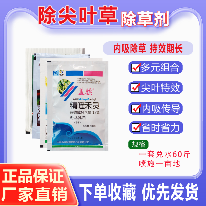 白术贝母菊花款冬花木香淫羊藿紫菀苗后专除尖叶除草剂尖叶杂草