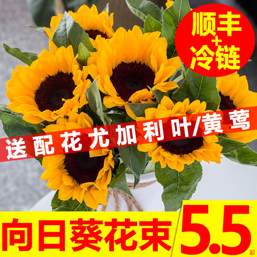 向日葵鲜花销量排行榜 向日葵鲜花品牌热度排名 小麦优选