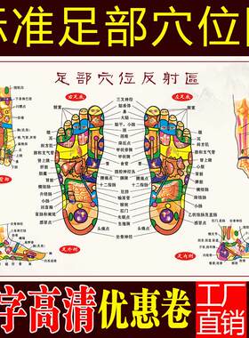 足底按摩穴位图足部反射区大挂图人体足部经络穴位图挂图宣传挂画