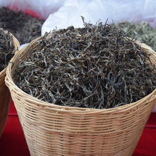 2024头春苦竹山古树挑采100克散料生普生茶普洱茶 野放茶老品种