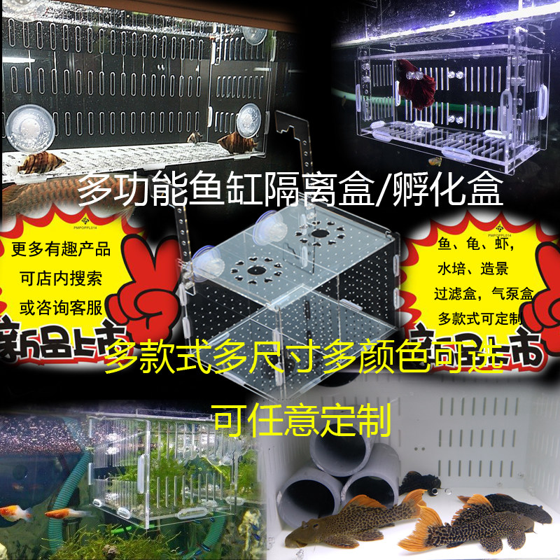亚克力透明鱼缸隔离盒鱼苗孵化盒繁殖盒孔雀虎鱼鹦鹉罗汉鱼隔离盒