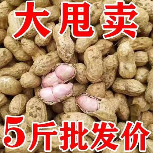 2026新鲜现挖湿花生带壳生花生现挖当季泥壳水煮生吃农家粉皮红皮