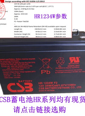 CSB蓄电池HR1234WF2电梯应急APC内置1251W/90W/120W消防主机电梯