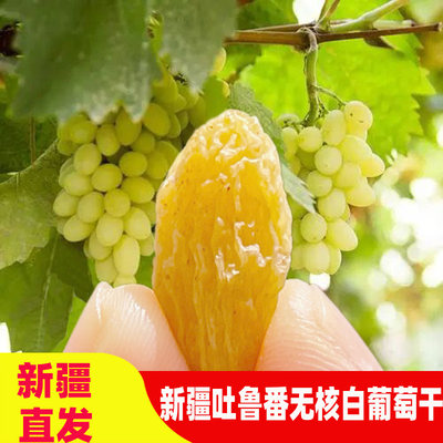 新疆葡萄干吐鲁番无核白新鲜葡萄干500g树上黄葡萄干