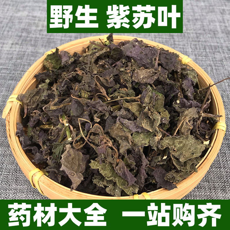 野生紫苏叶中药材正品泡水喝泡茶食用香料泡脚泡澡新鲜中草药500g