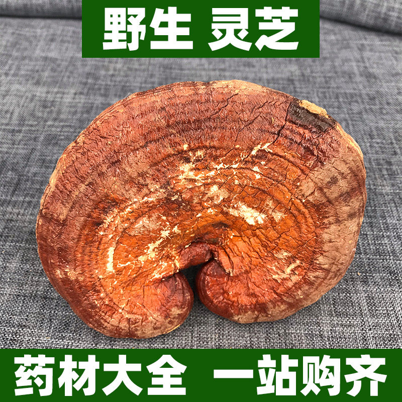广西野生灵芝整个整朵中药材正品灵芝片灵芝粉泡酒赤芝红芝万年蕈