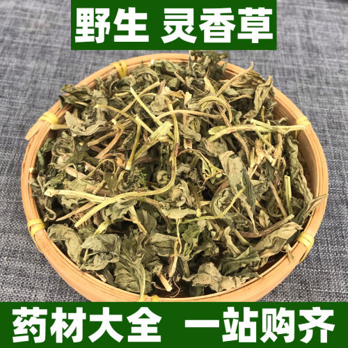 正宗广西野生灵香草中药材正品灵草香料调料可打粉新鲜干货500g