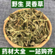 正宗广西野生灵香草中药材正品 灵草香料调料可打粉新鲜干货500g